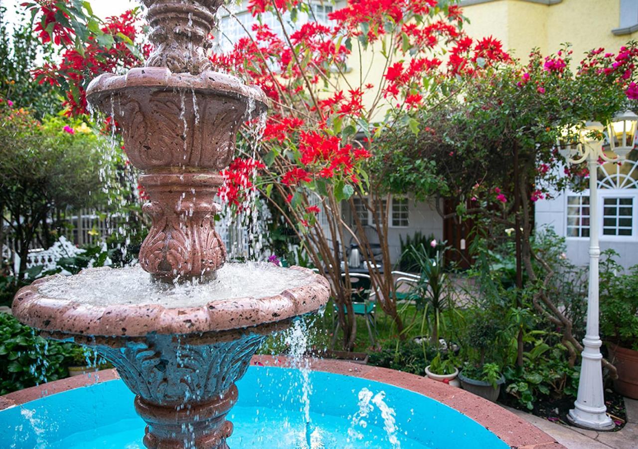 멕시코 시 Casa San Pedro B&B 외부 사진