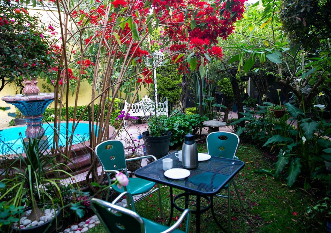 멕시코 시 Casa San Pedro B&B 외부 사진